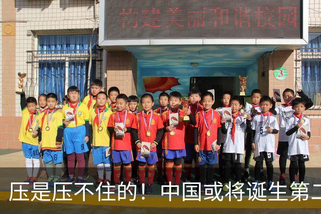压是压不住的！中国或将诞生第二个华为